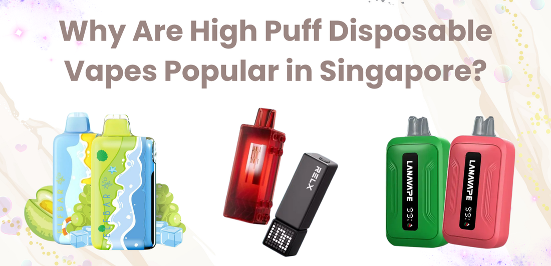 Why Are High Puff Disposable Vapes Popular in Singapore?